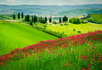 Fototapeta Summer land 24729